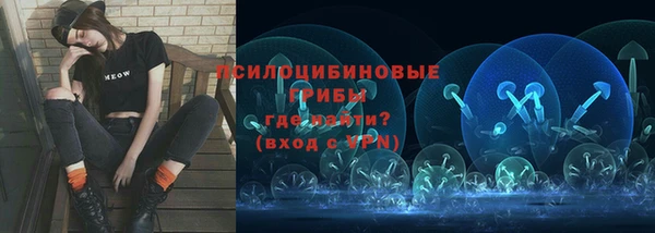 крисы Зерноград