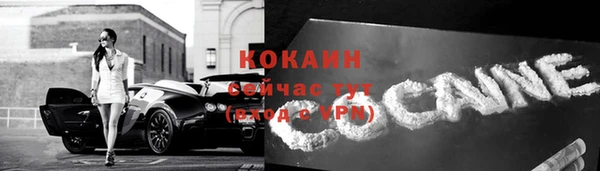 крисы Зерноград