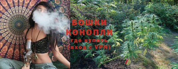 крисы Зерноград