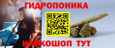 индика Гусиноозёрск