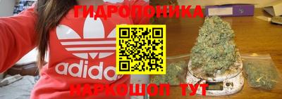 индика Гусиноозёрск