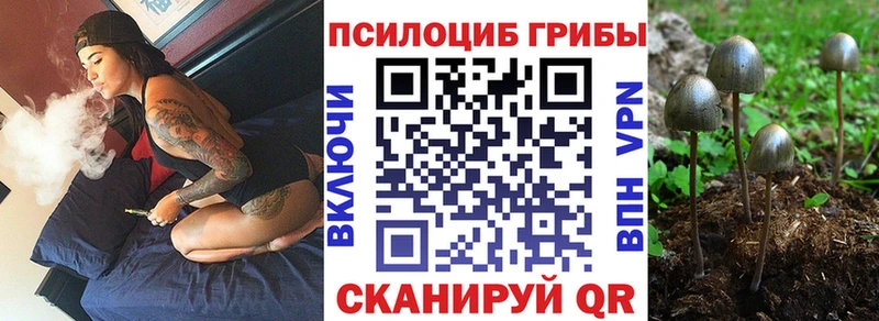 Псилоцибиновые грибы мицелий  купить  сайты  Кисловодск 