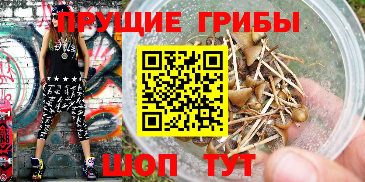 Галлюциногенные грибы Magic Shrooms Кисловодск
