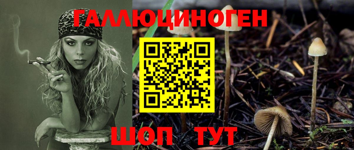 Кисловодск  Галлюциногенные грибы Magic Shrooms  Вход с VPN  Галлюциногенные грибы Magic Shrooms 